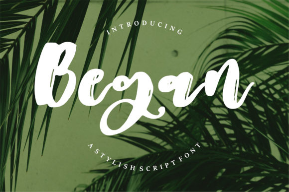 Began: A Sweet Script Font for Editorial Design and Branding