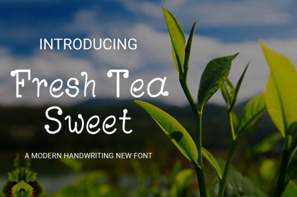 Fresh Tea Sweet: A Delicate Script Font for Modern Brand Identity